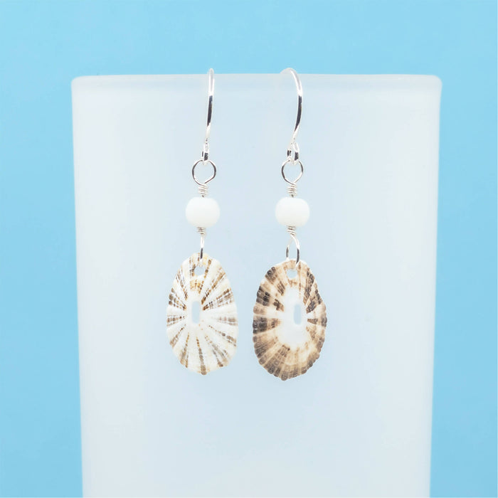 Limpet Seashell Earrings