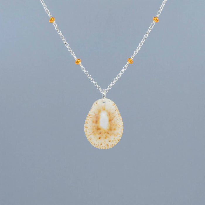 Limpet Seashell Necklace