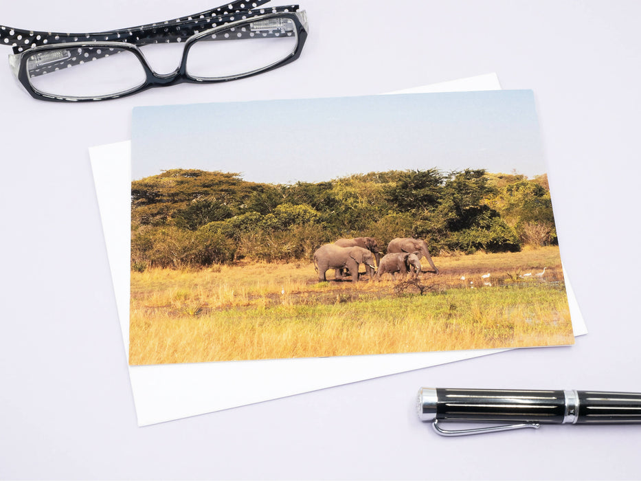 Elephant Photography Greeting Card