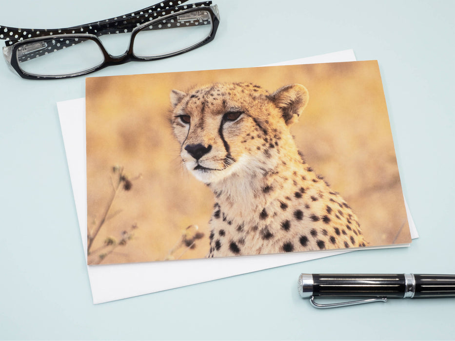 Cheetah Photography Greeting Card