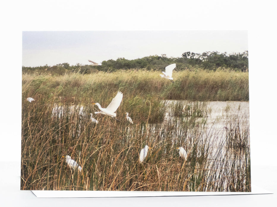 Egret Photography Greeting Card