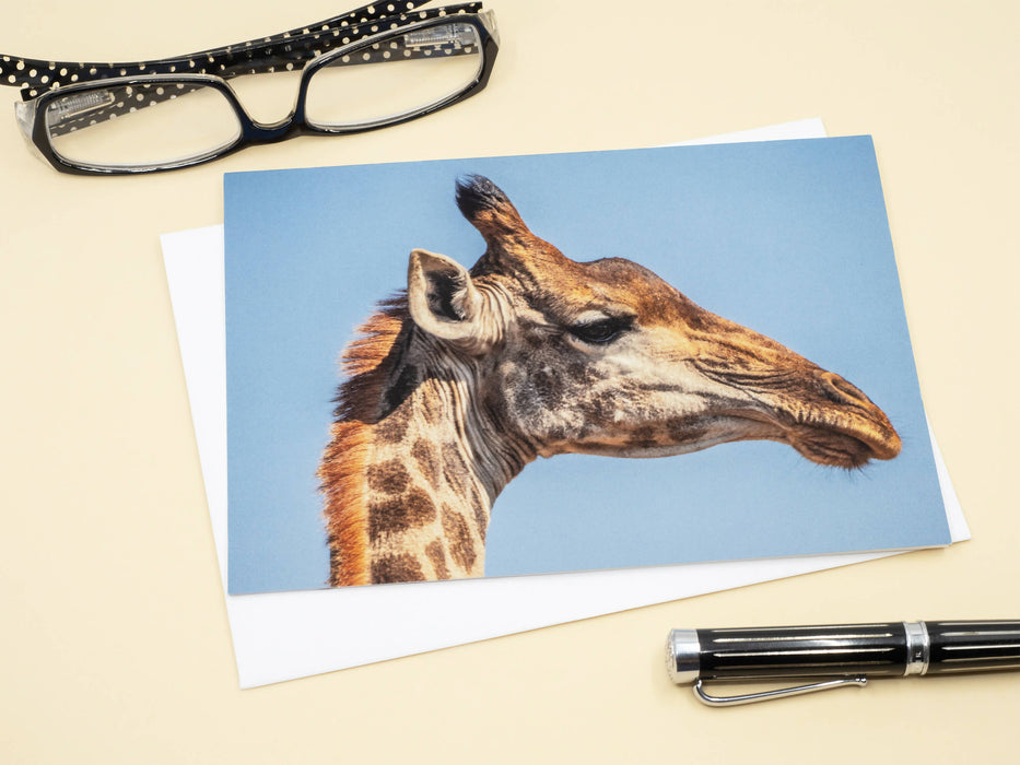 Giraffe Photography Greeting Card