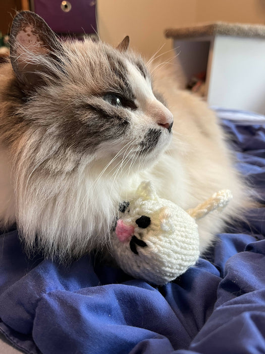 Tiny knitted cat